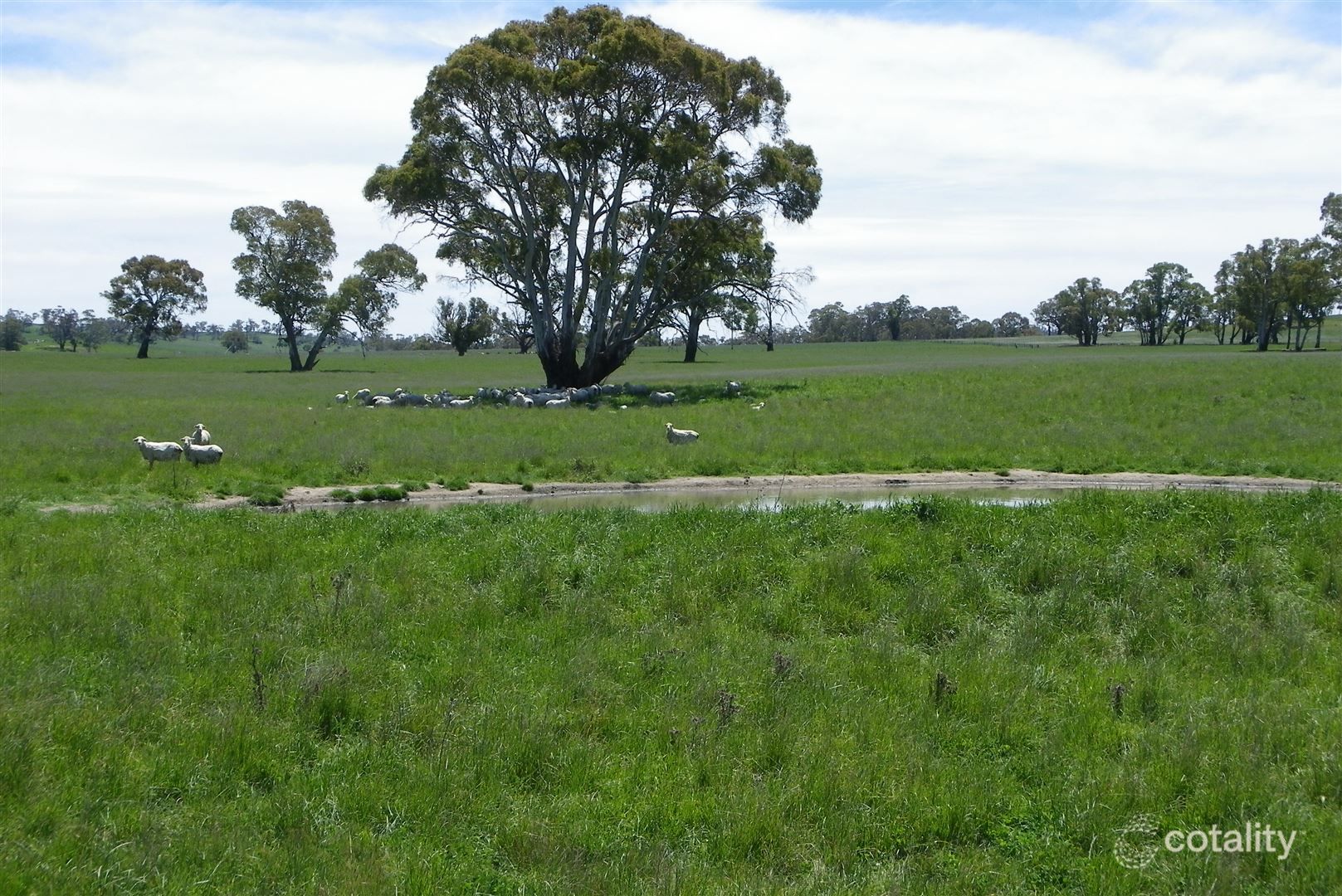 208 Barkers Lake Rd, Bungarby, NSW 2630