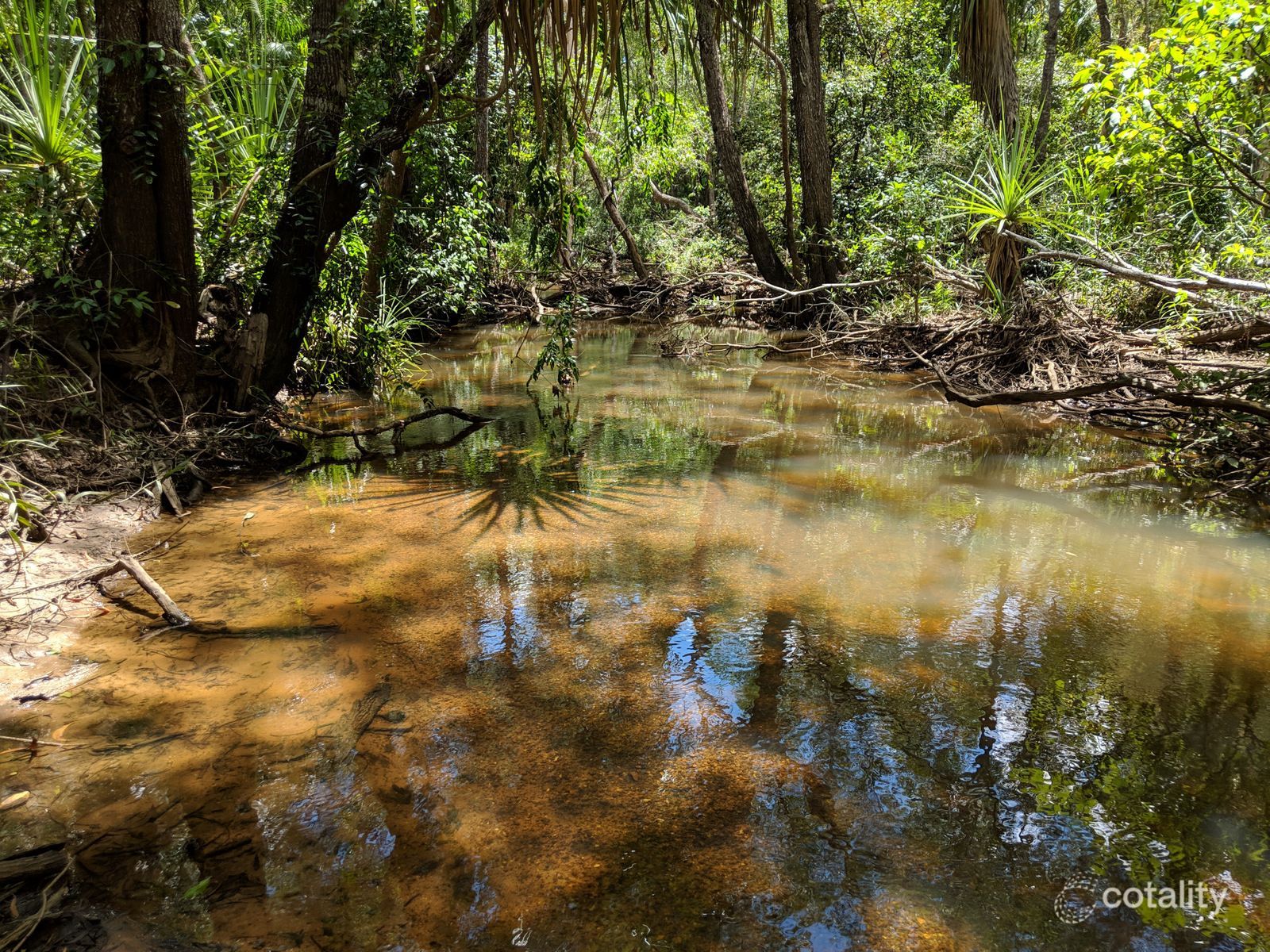 255g Elizabeth Valley Rd, Noonamah, NT 0837