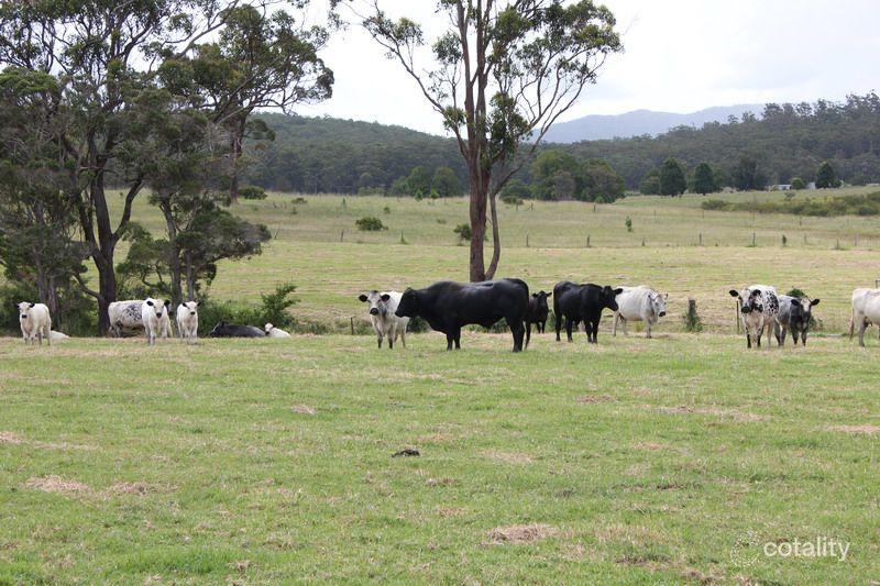 461 Herons Creek Rd, Herons Creek, NSW 2439