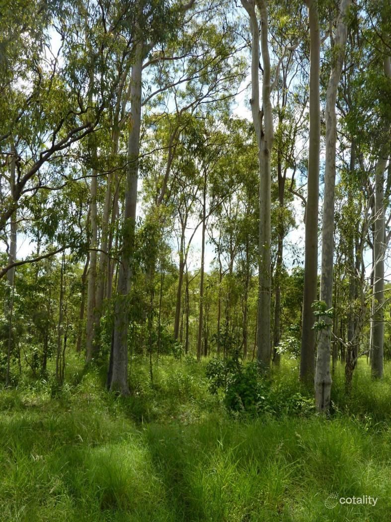 Lot 41 Tanderra Dr, South Kolan, QLD 4670