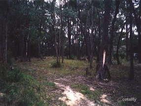 18 Fairview Rd, Chum Creek, VIC 3777