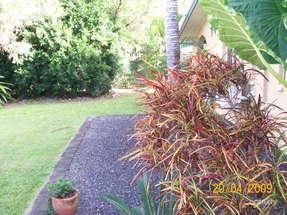 255 Pease St, Edge Hill, QLD 4870