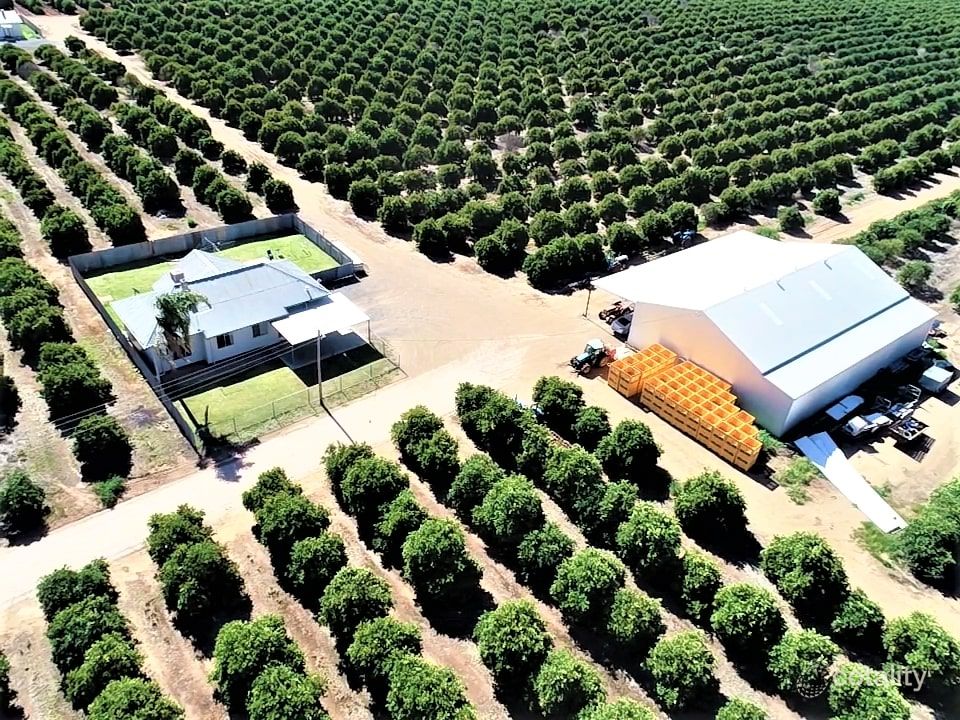 89 Wincey Rd, Yoogali, NSW 2680