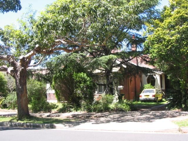 84 Churchill Ave, Strathfield, NSW 2135