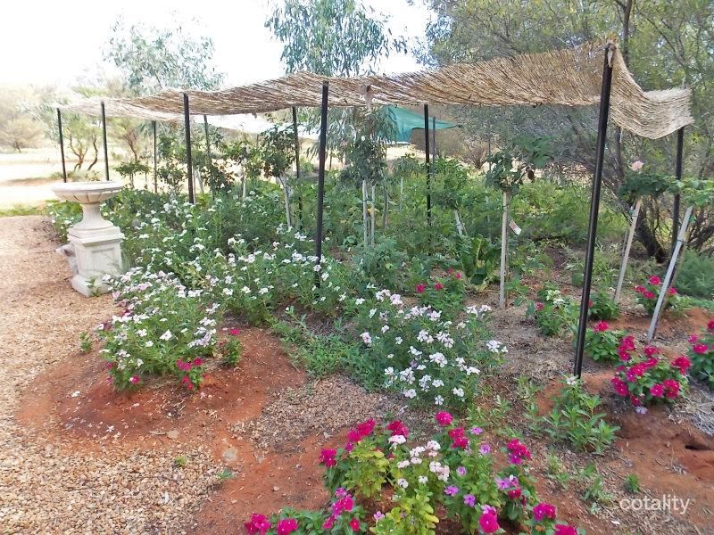 239 Greatorex Rd, Ilparpa, NT 0873