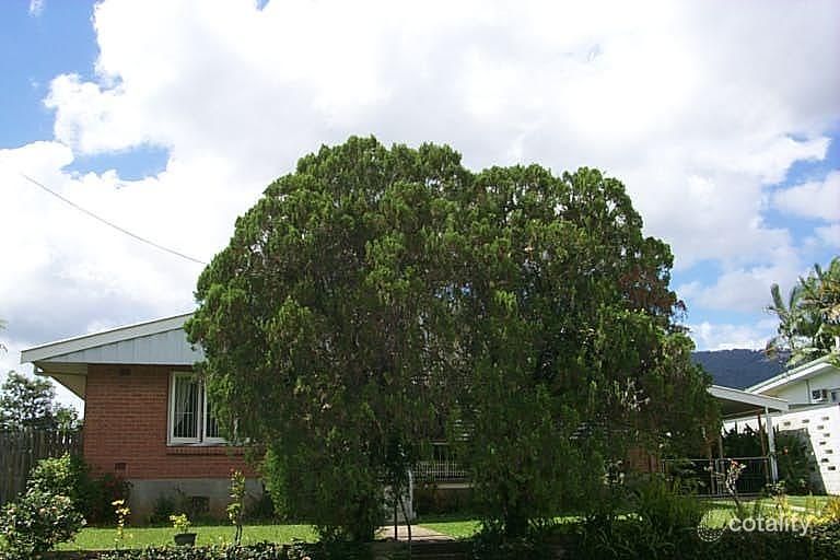 39 Langan St, Earlville, QLD 4870