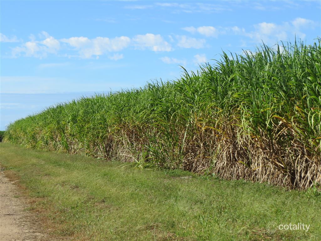 104 Burstall Rd, Airdmillan, QLD 4807