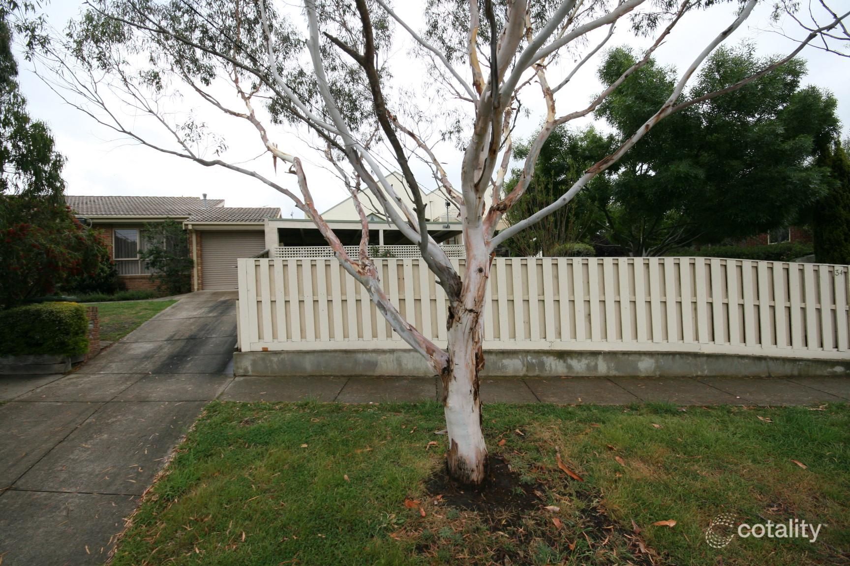 34 Wandana Dr, Wandana Heights, VIC 3216