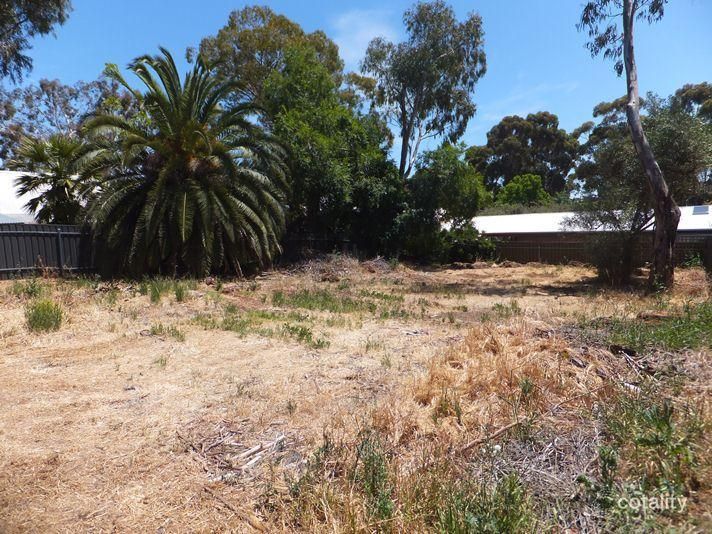 17a Liddiard St, Mclaren Vale, SA 5171