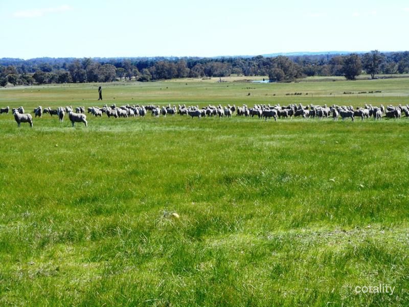 Lot 1 Collie-Changerup Rd, Mokup, WA 6394