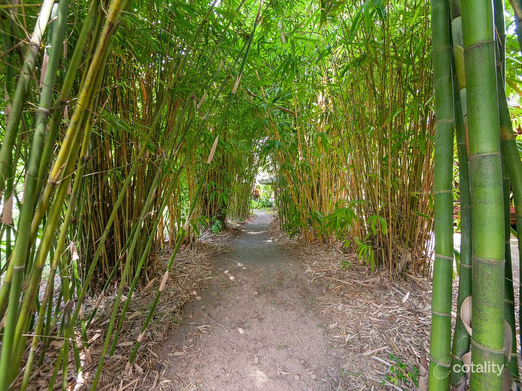 58-66 Johanna Rd, Trinity Beach, QLD 4879