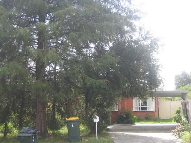 11 Canora St, Blackburn South, VIC 3130