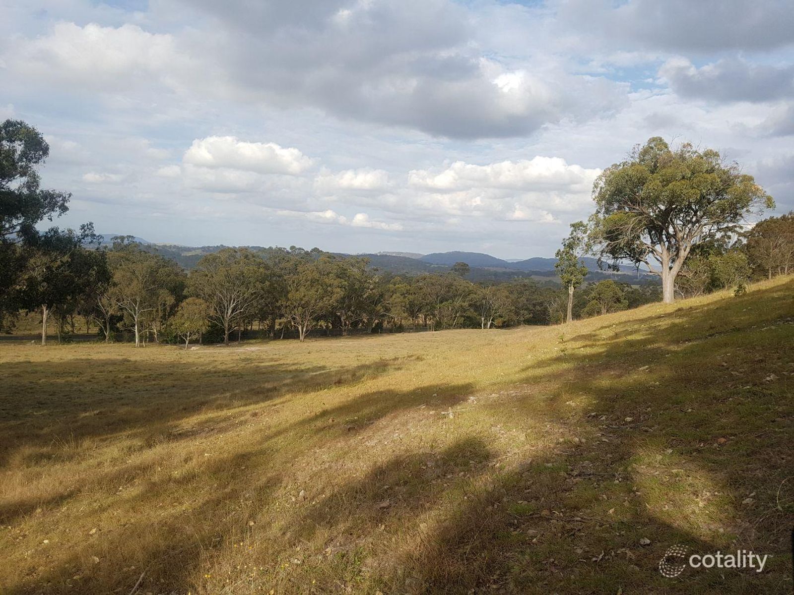 692 Billirimba Rd, Tenterfield, NSW 2372