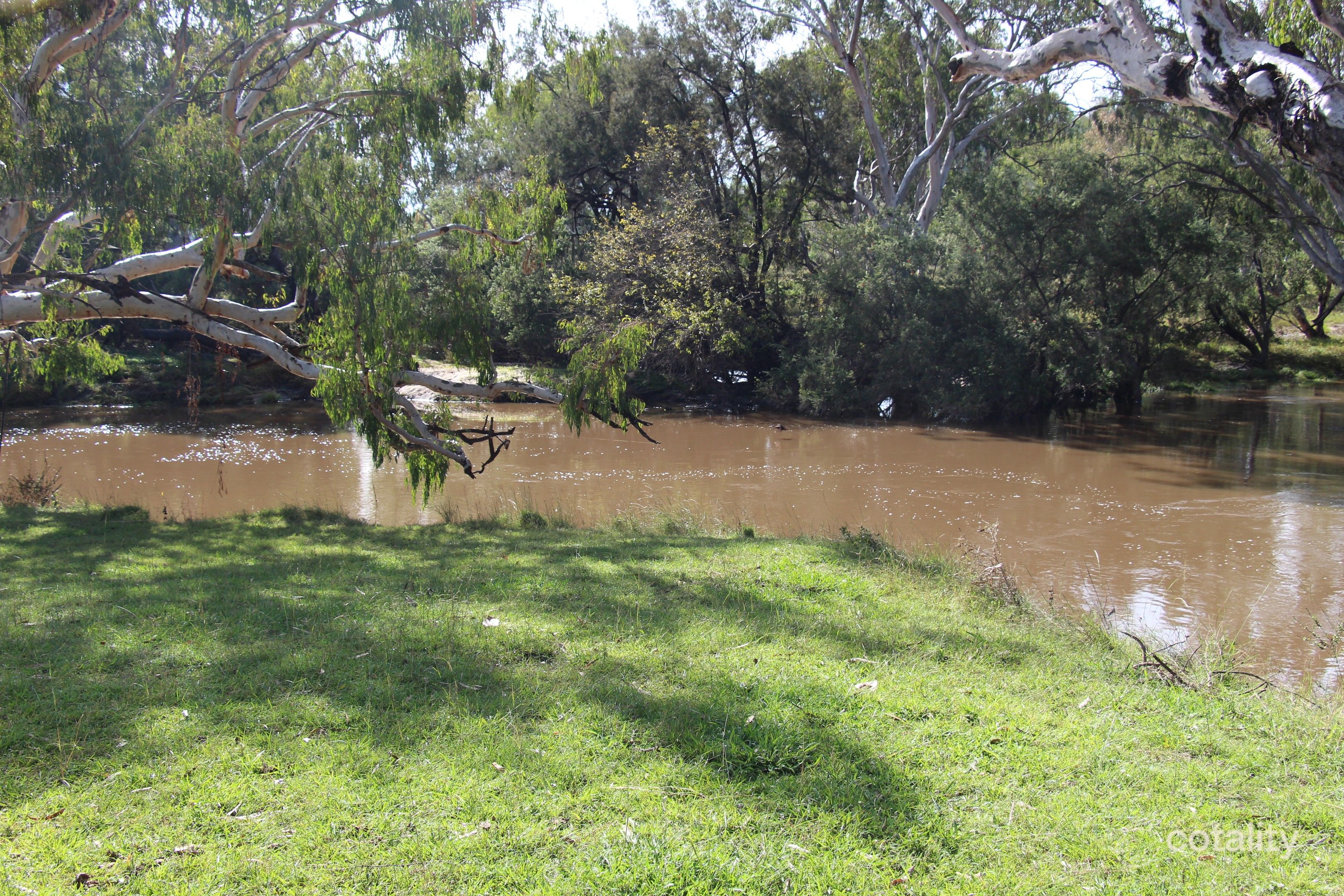 2631 Bedwell Downs Rd, Yetman, NSW 2410