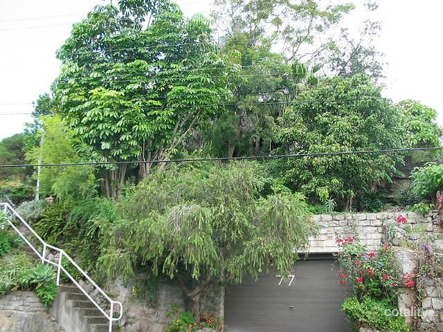 77 Carawa Rd, Cromer, NSW 2099