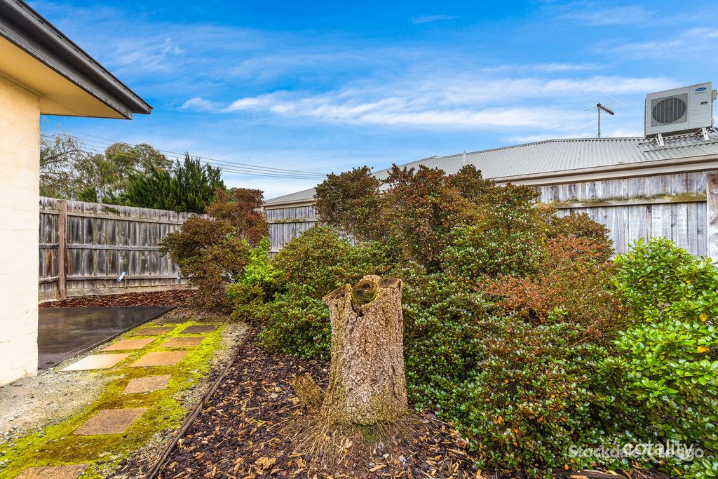 1/1 Nicholas Ct, Hastings, VIC 3915