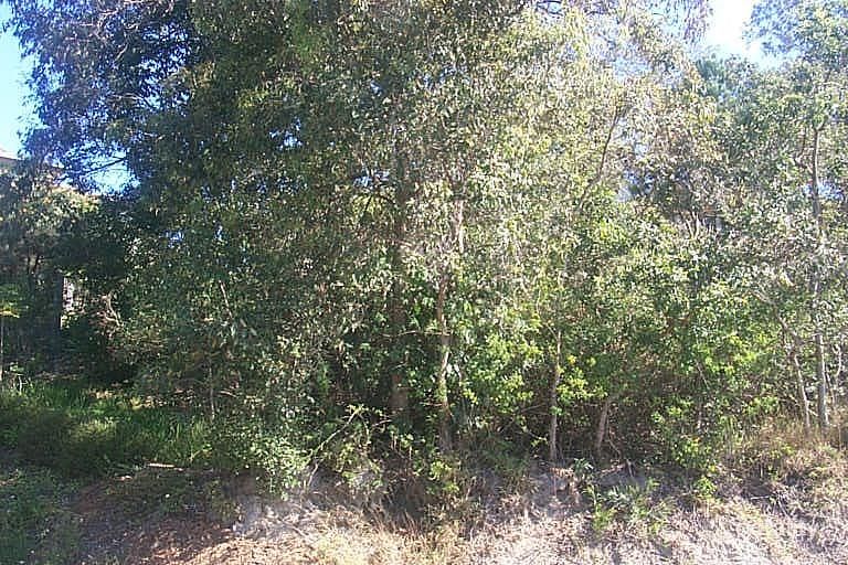 19b Netherton St, Nambour, QLD 4560