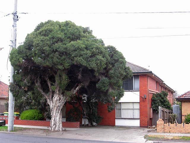 5/150 Grange Rd, Alphington, VIC 3078