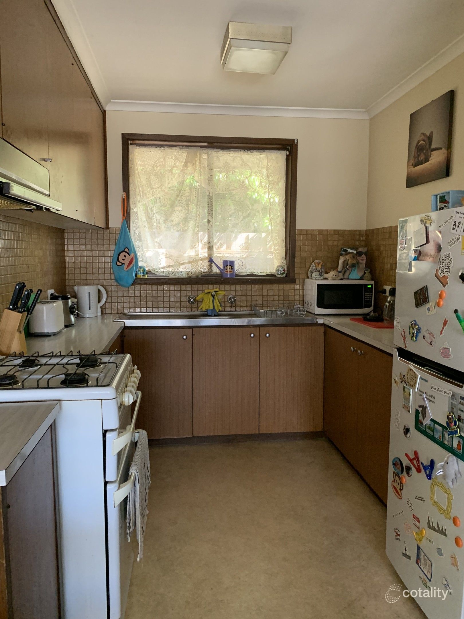1/2 Everett Cl, Herne Hill, VIC 3218