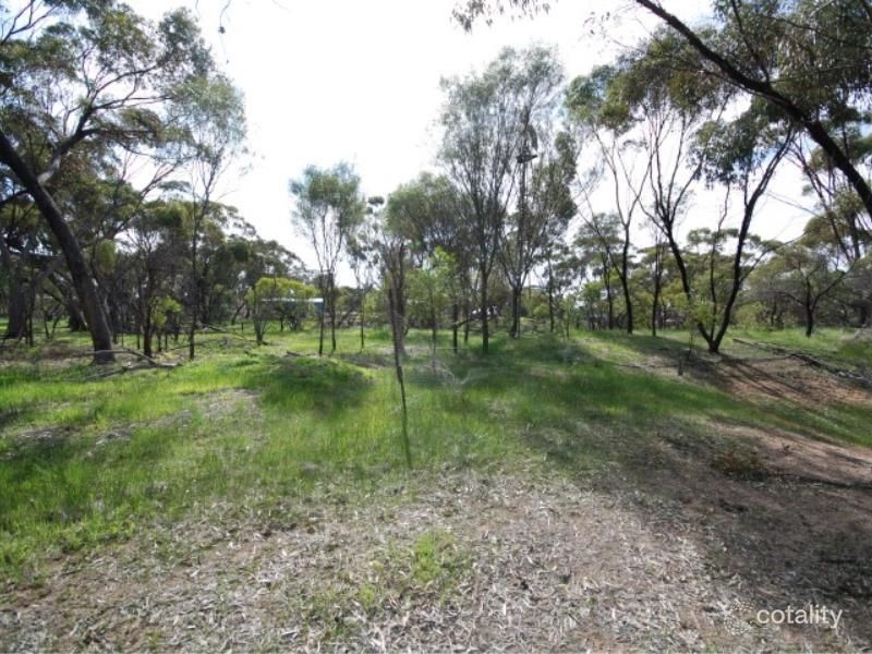 58 Pitt St, Pingelly, WA 6308