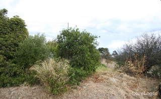 19 St James St, Woodcroft, SA 5162