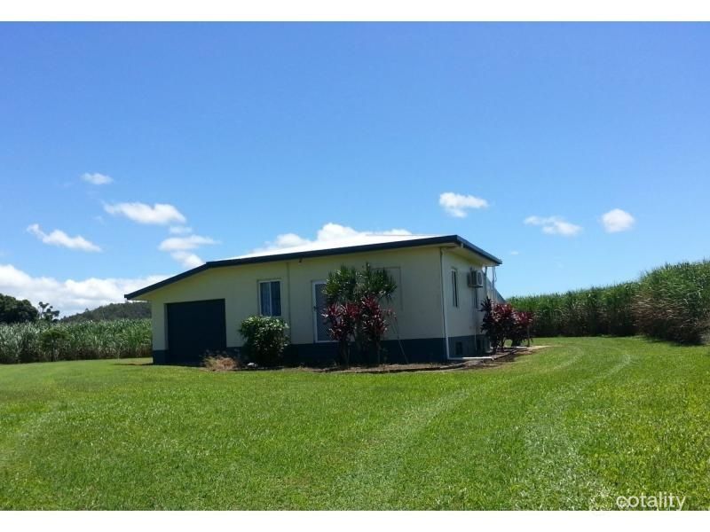159 Rinaudo Rd, Lower Cowley, QLD 4871
