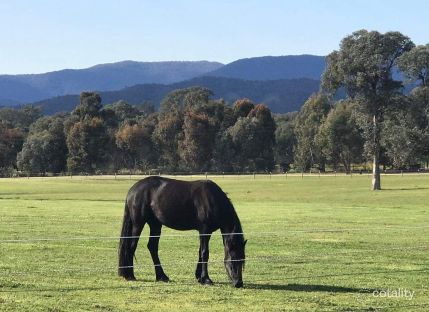 48 Hayes Rd, Swanpool, VIC 3673