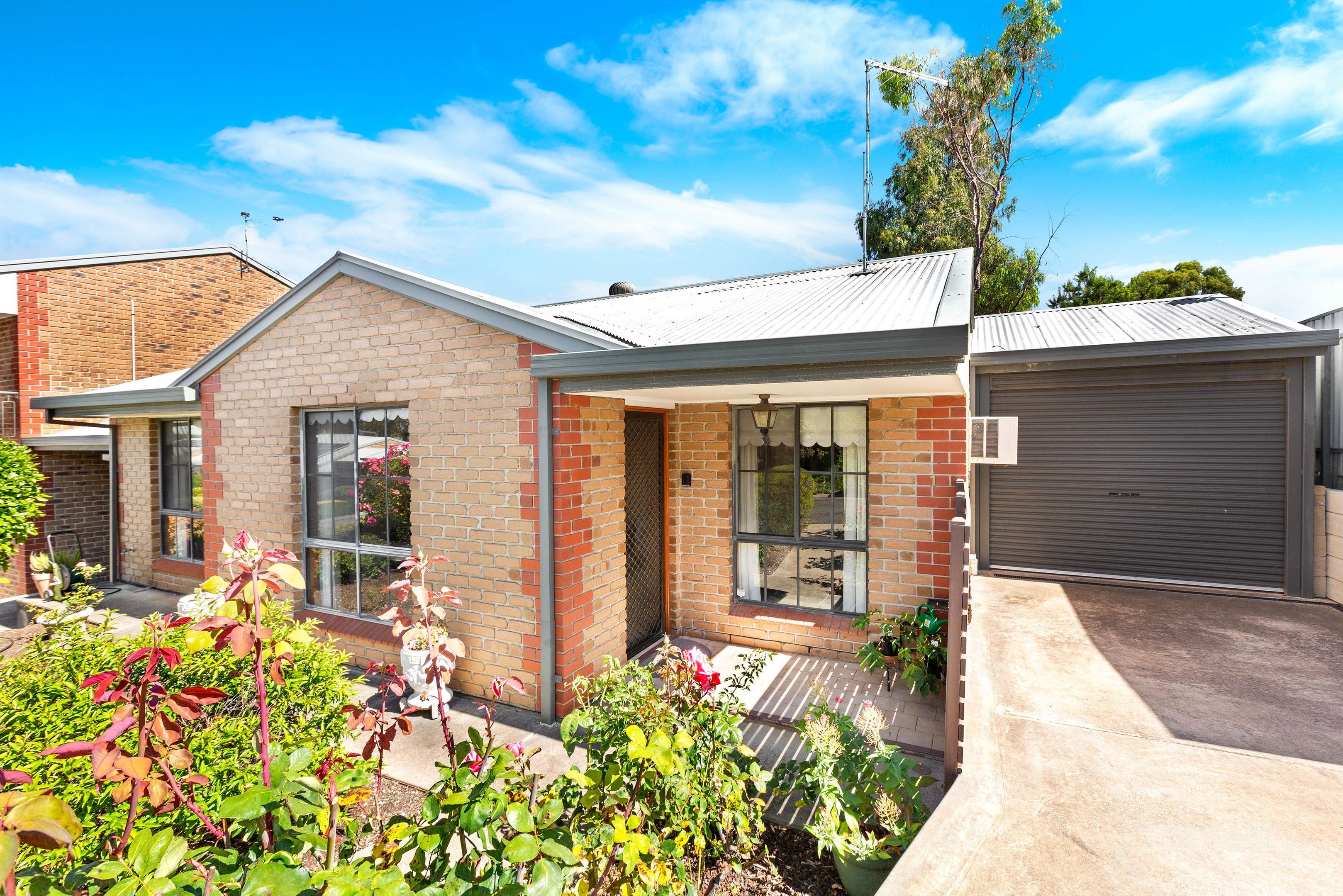1/15 Tretter St, Morphett Vale, SA 5162