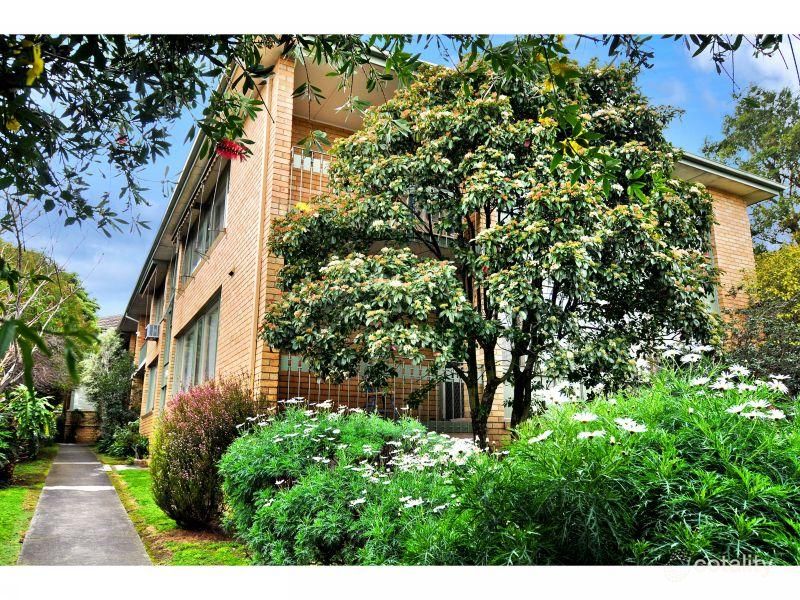 8/483 Whitehorse Rd, Balwyn, VIC 3103