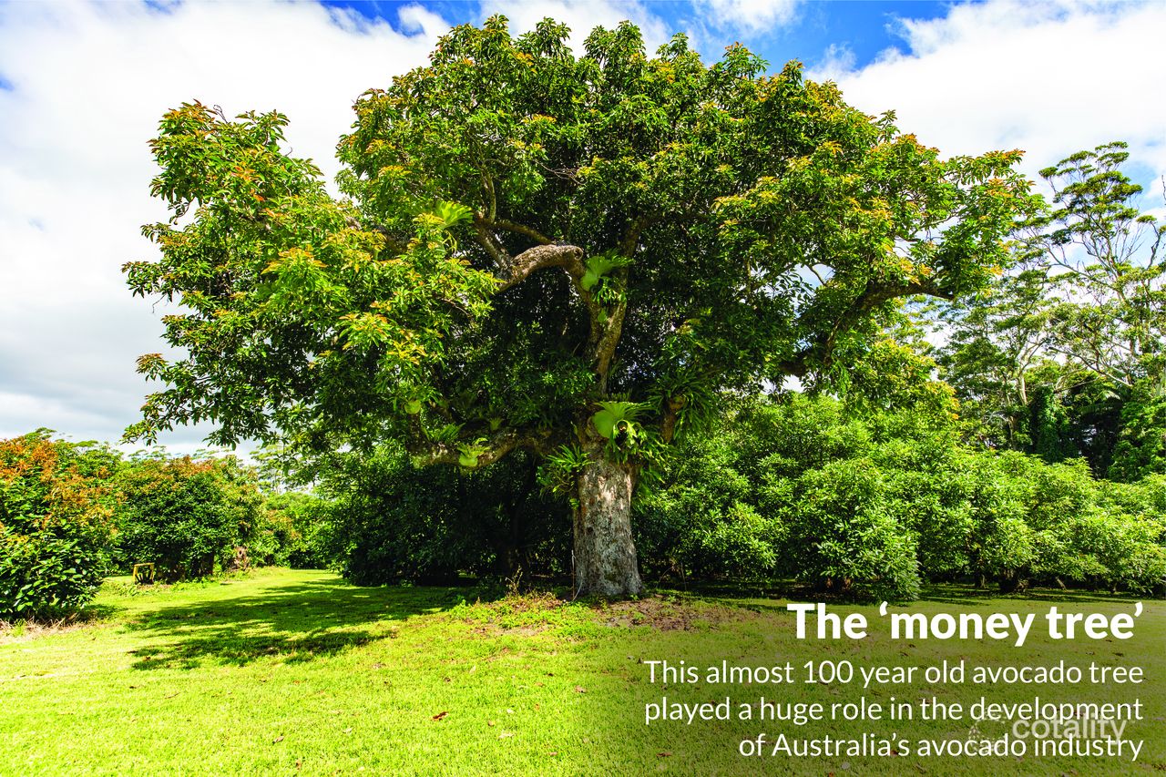 30 Kidd St, Tamborine Mountain, QLD 4272