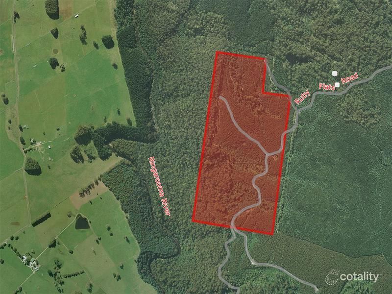 1 Ruby Flats Rd, Ringarooma, TAS 7263