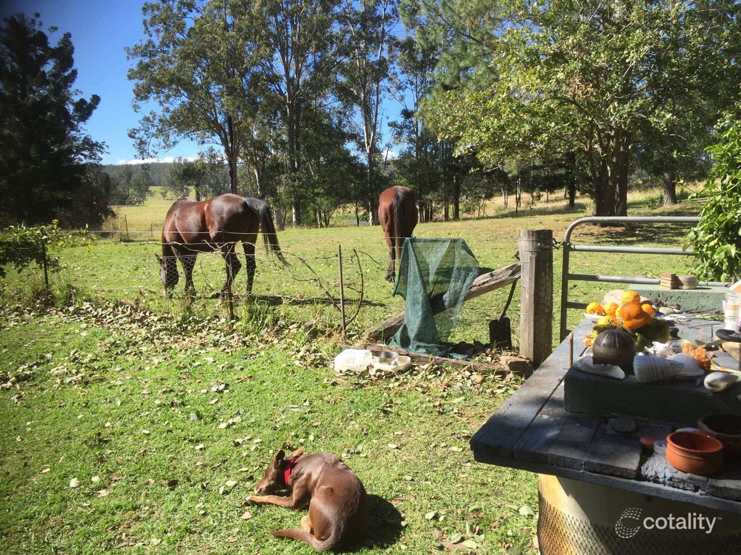 704 Larsson Rd, Culmaran Creek, NSW 2469