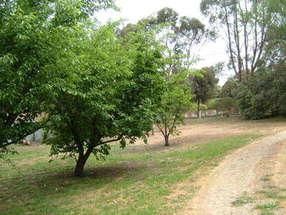 11a Ray St, Castlemaine, VIC 3450