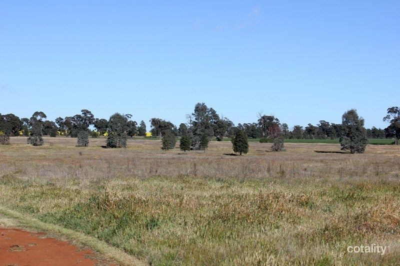 25 Boree St, Grong Grong, NSW 2652