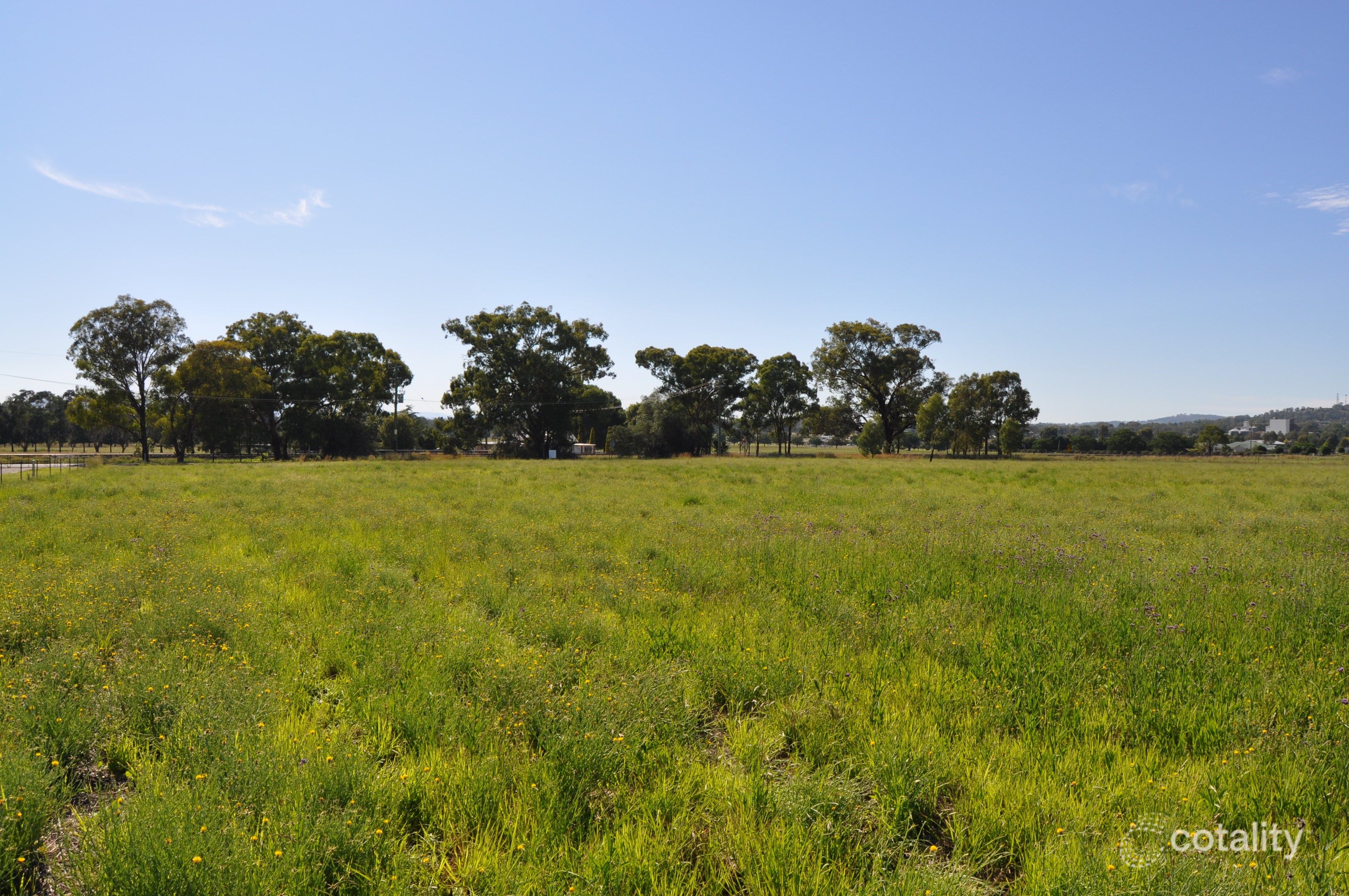 69 Barneys Reef Rd, Gulgong, NSW 2852