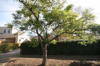 93 Church Tce, Walkerville, SA 5081