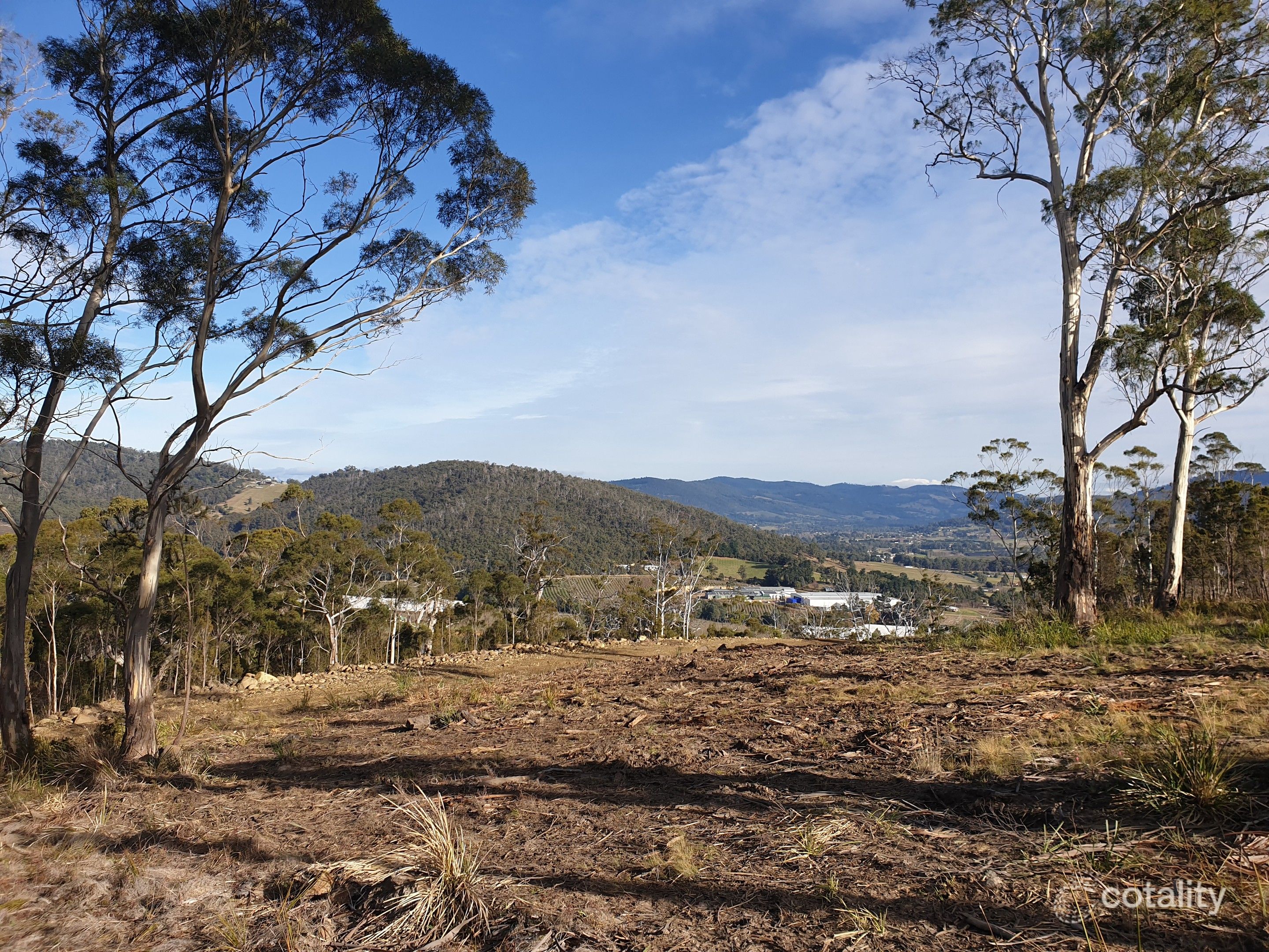 34 Bull Oak Way, Grove, TAS 7109