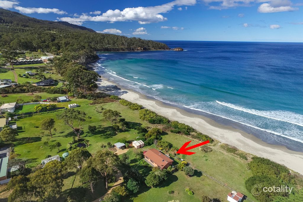 435 Pirates Bay Dr, Eaglehawk Neck, TAS 7179