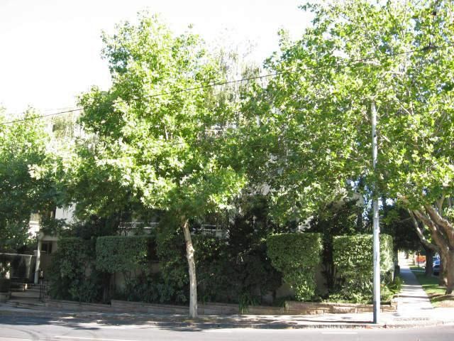 3/548-552 Toorak Rd, Toorak, VIC 3142