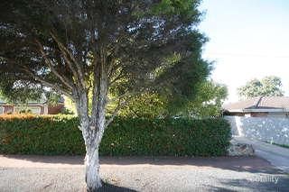 2 Kapoola Ave, Campbelltown, SA 5074