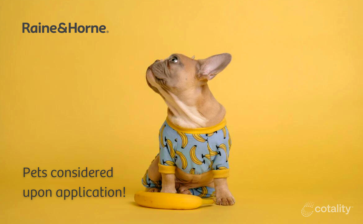 3 Bunk House Lane, Gwandalan, NSW 2259