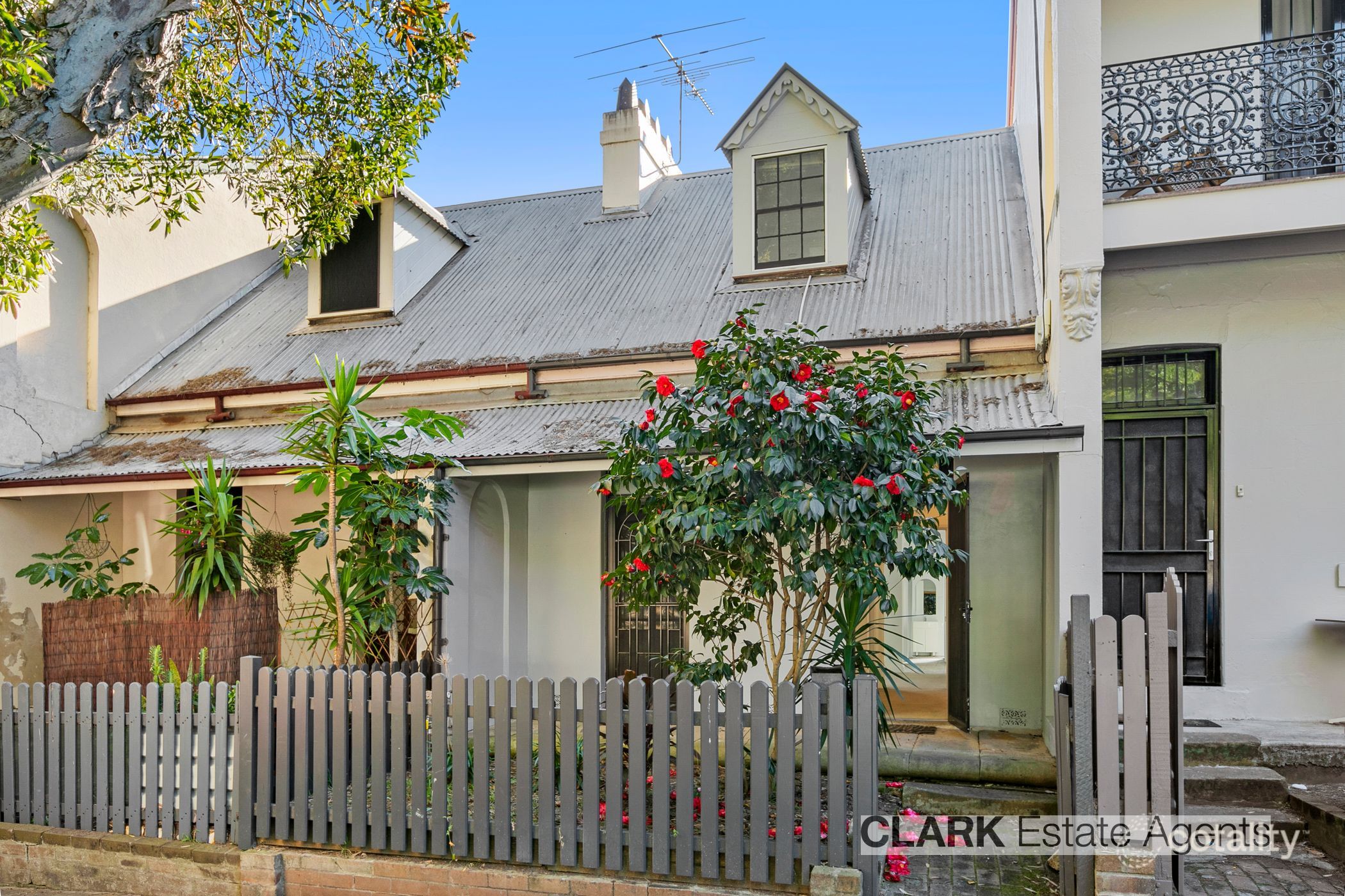 57 Wellington St, Waterloo, NSW 2017