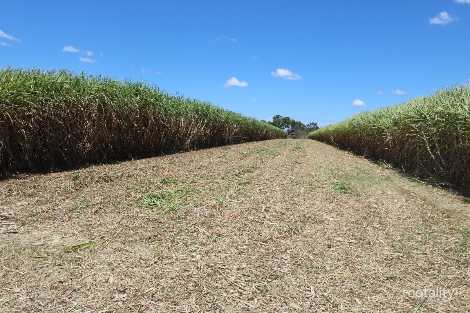 3392 Childers Rd, Gregory River, QLD 4660