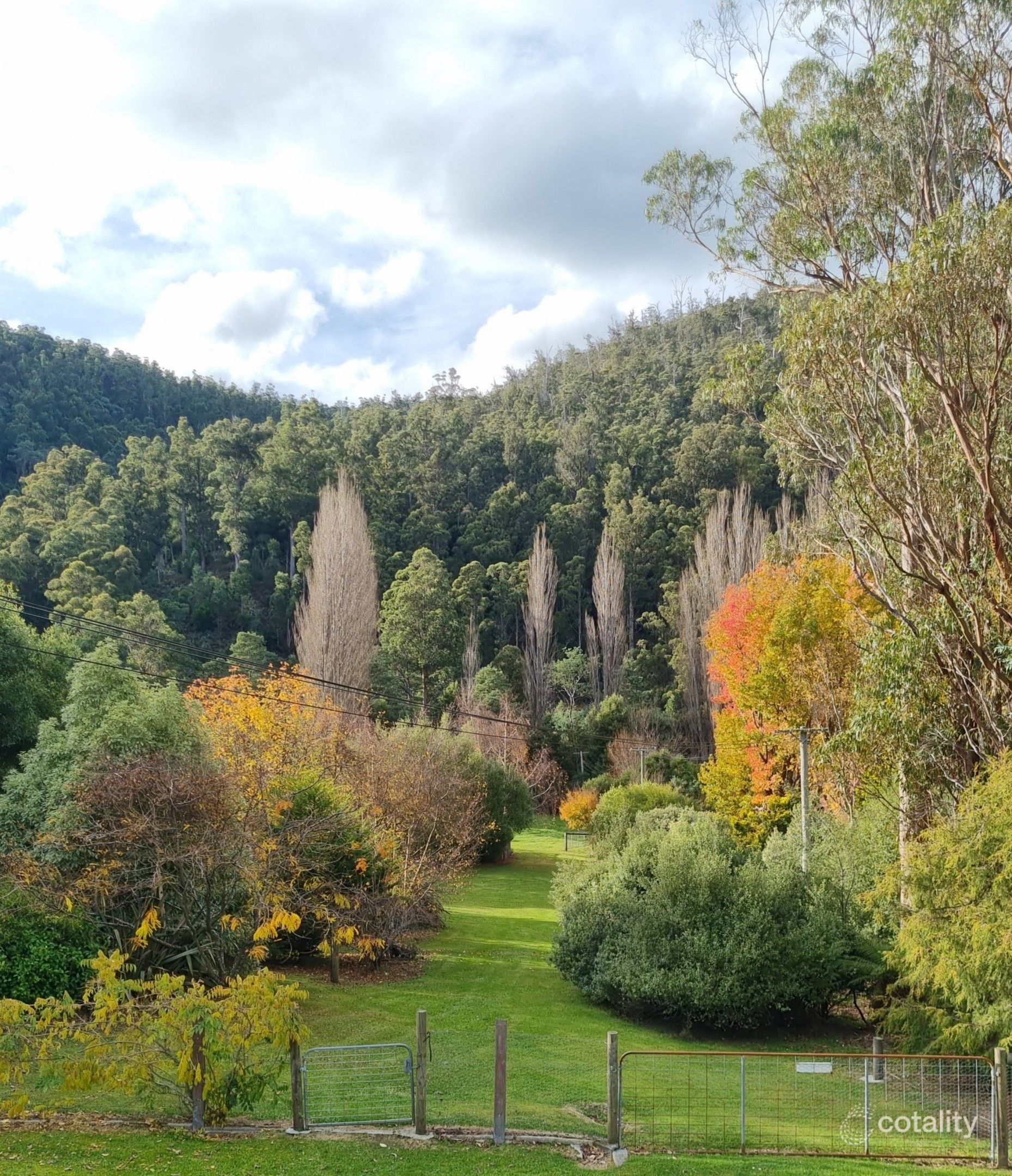 324 Bakers Creek Rd, Lucaston, TAS 7109