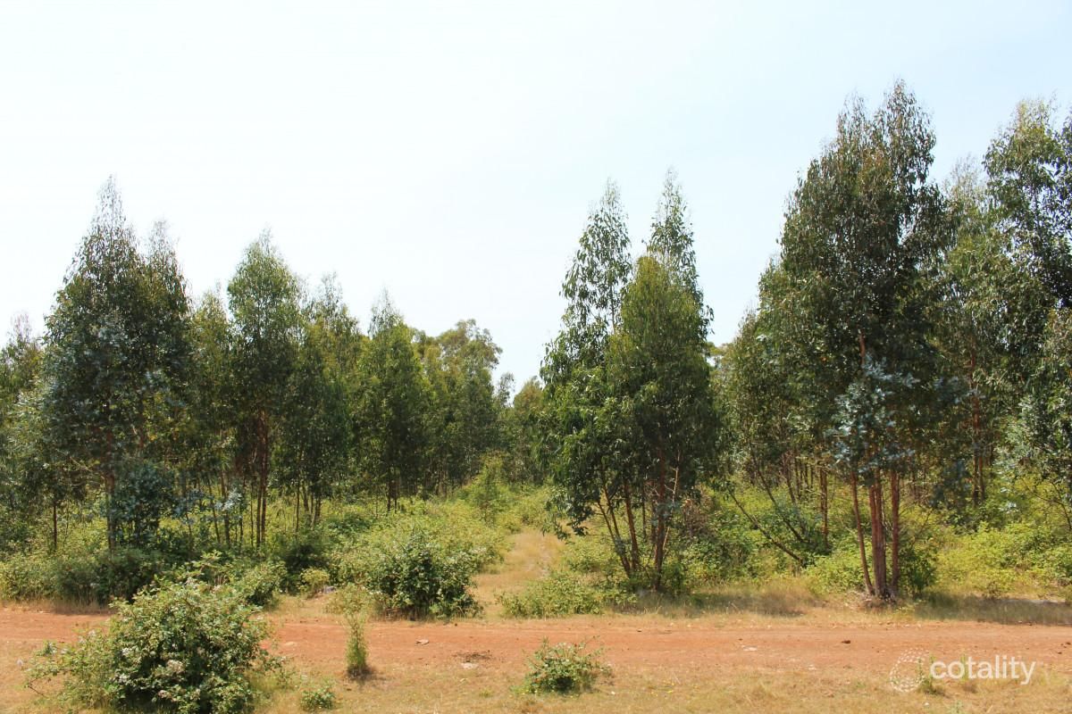 863 Bullaharre Rd, Carpendeit, VIC 3260