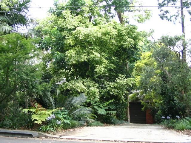 39 Dorset St, Epping, NSW 2121