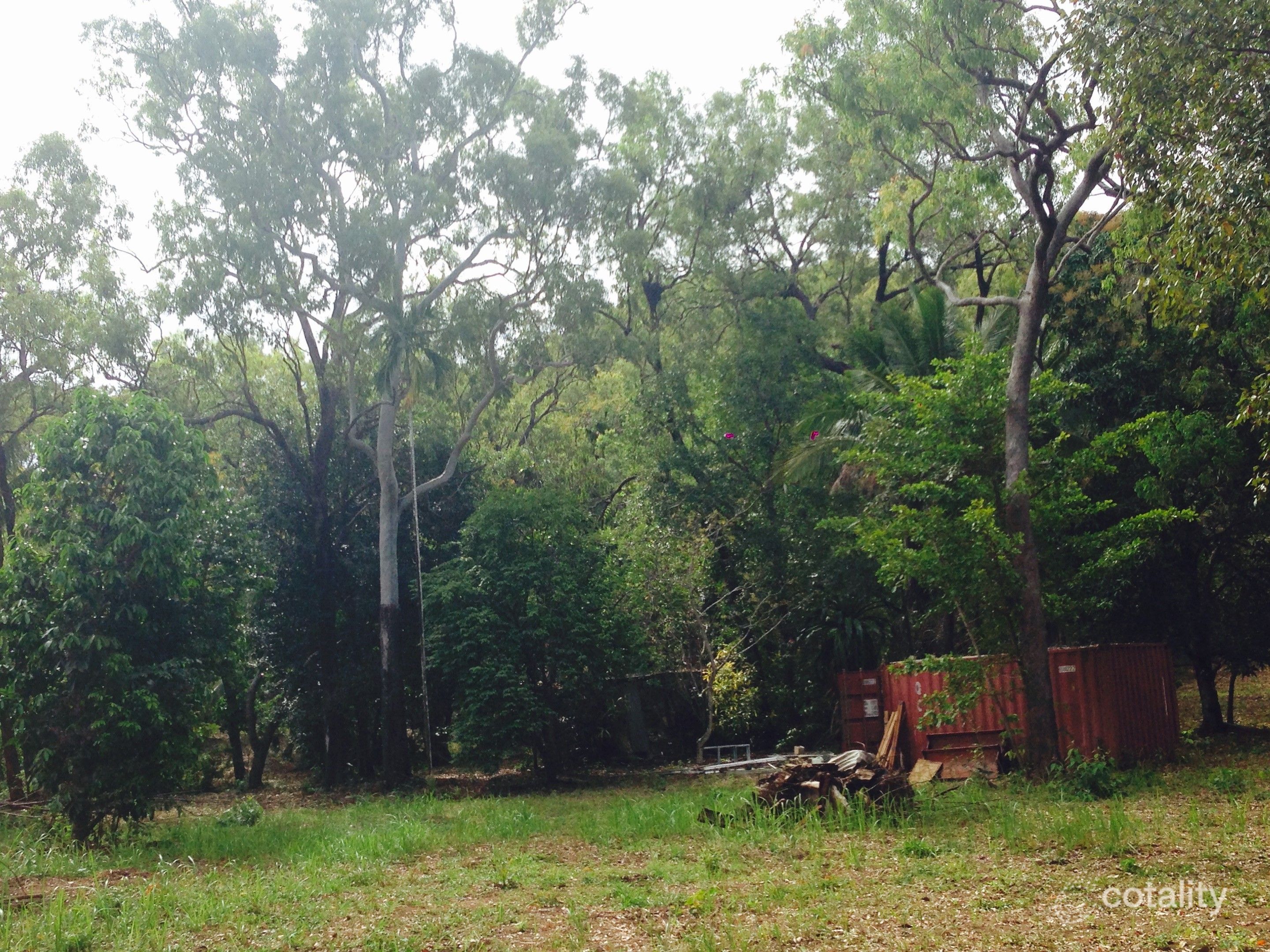 2928 Bloomfield Rd, Bloomfield, QLD 4895