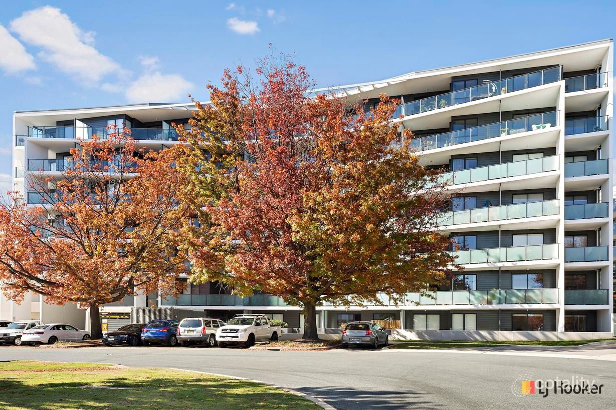 2/74 Leichhardt St, Griffith, ACT 2603