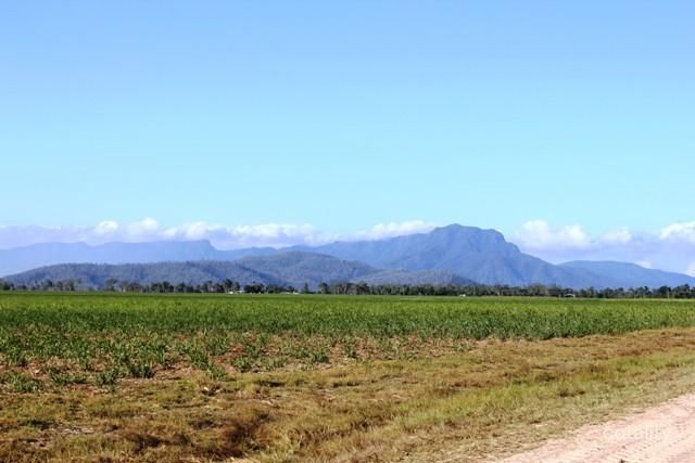 Lot 1 Scotts Rd, Lannercost, QLD 4850