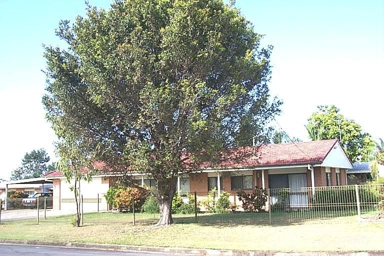 1 Nerissa Ct, Underwood, QLD 4119